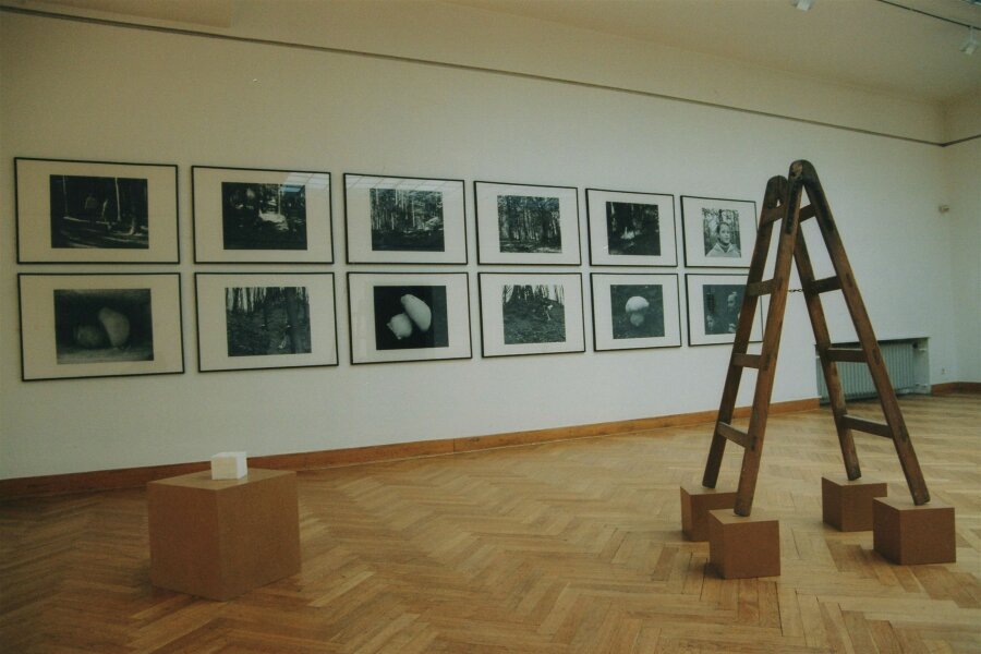 foto: Michaela Dvořáková